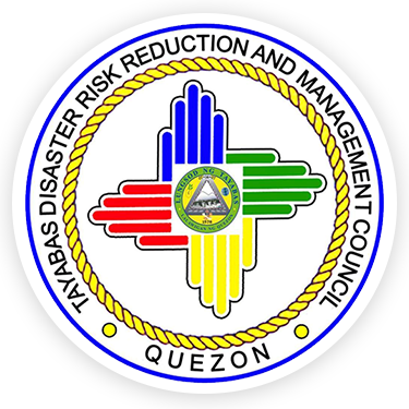 City Disaster Risk Reduction And Management Office