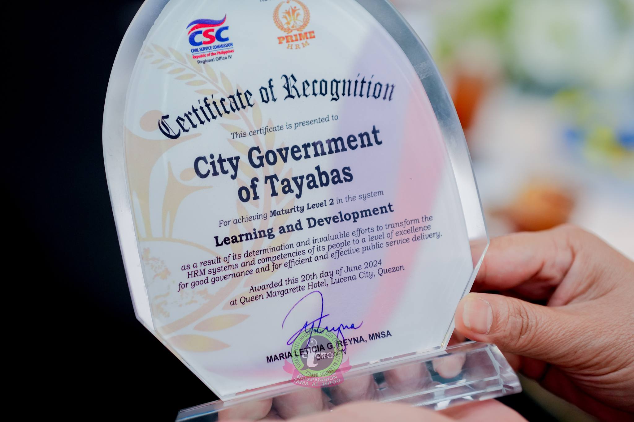 TINGNAN| LGU TAYABAS CITY, CERTIFIED MATURITY LEVEL 2 IN THE SYSTEM LEARNING DEVELOPMENT.