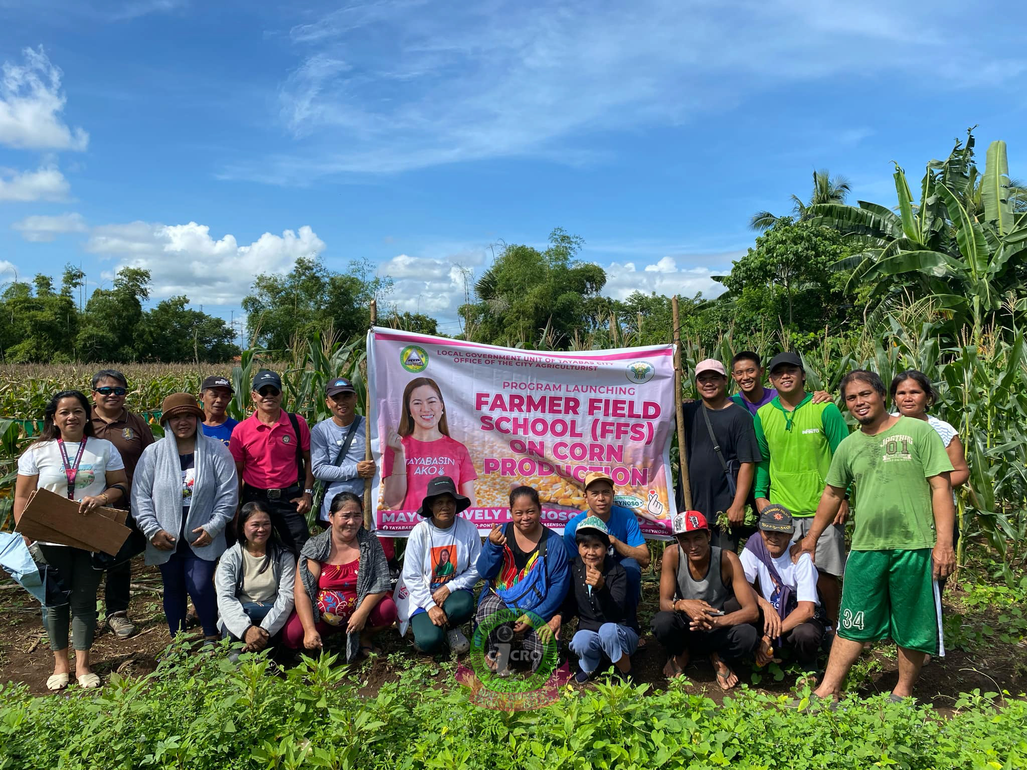 ANGKOP NA VARIETY NG MAIS, INTER-CROPPING, WEED MANAGEMENT, CROP PROTECTION AT TAMANG PATABA, NATUTUNAN SA FARMER FIELD SCHOOL ON CORN PRODUCTION.